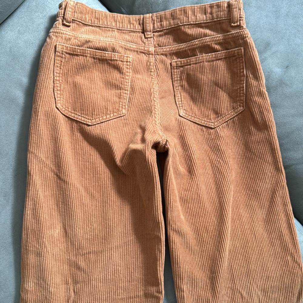 Pacsun corduroy baggy pants - Picture 4 of 5